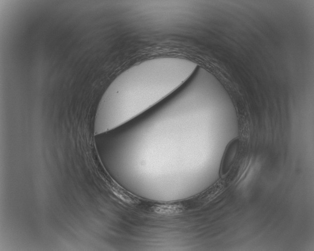 X0000052540465200507010823
