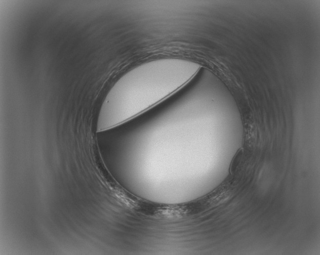 X0000052540466200507010823