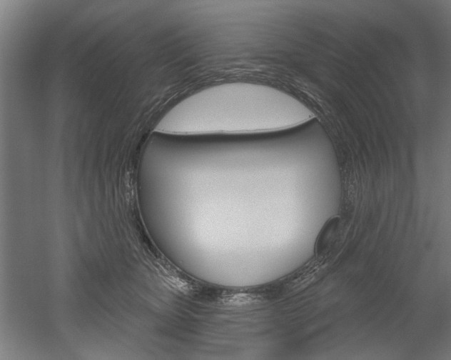 X0000052540467200507010823