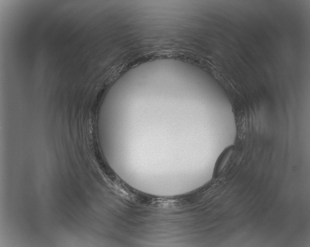 X0000052540472200507010823
