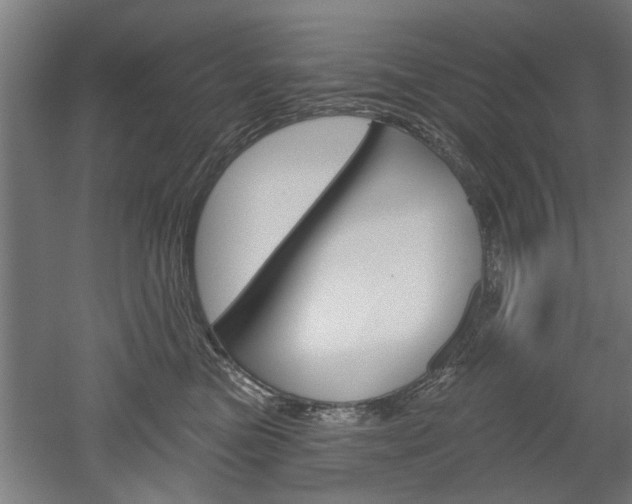 X0000052540473200507010823