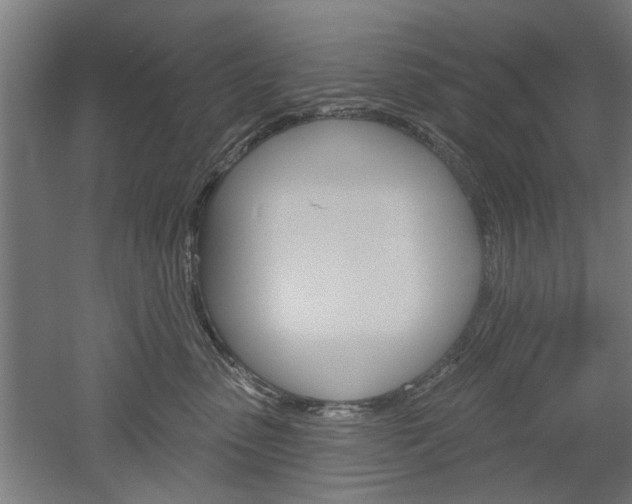 X0000052540475200507010823