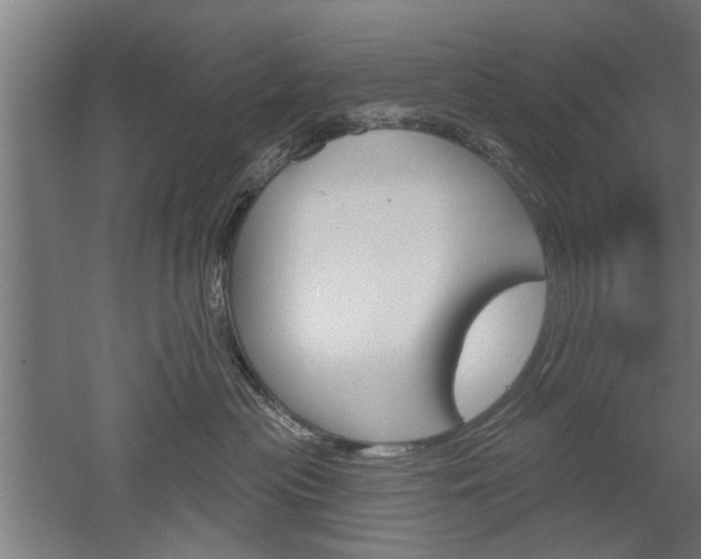 X0000052540477200507010824