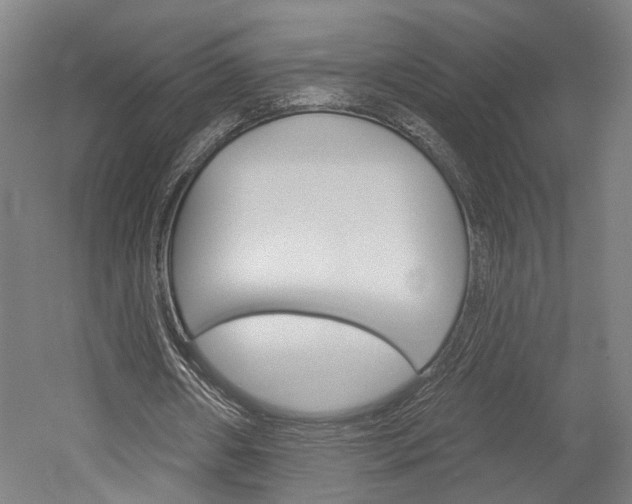 X0000052540482200507010823