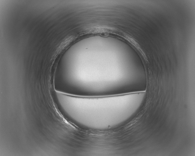 X0000052540485200507010823