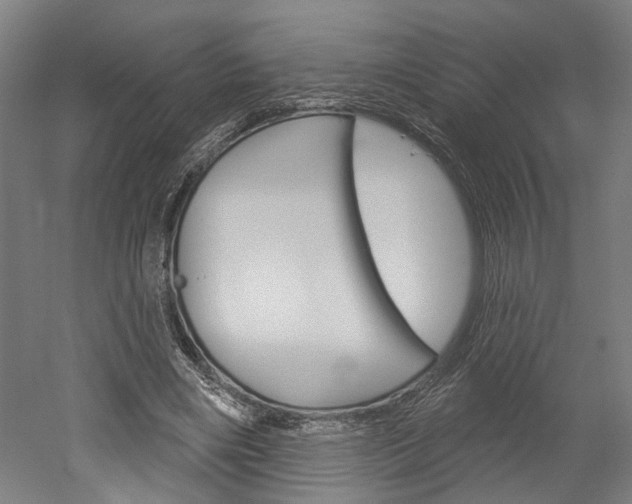 X0000052540490200507010823