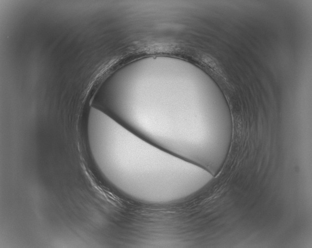 X0000052540491200507010823