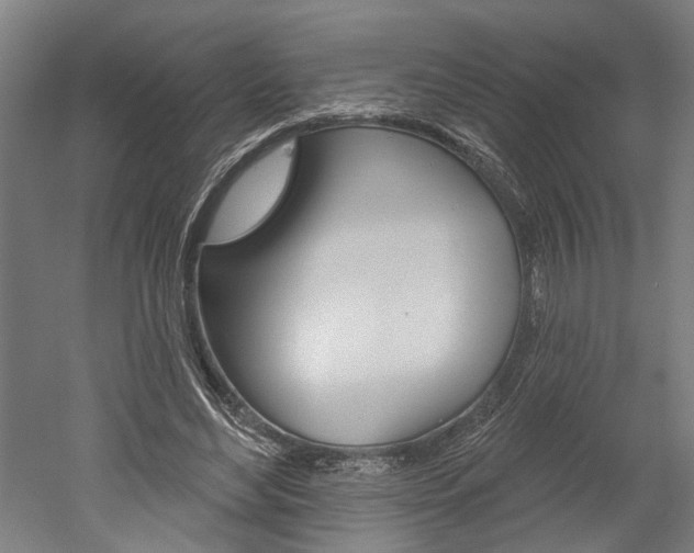 X0000052540492200507010823