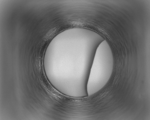 X0000052540494200507010823