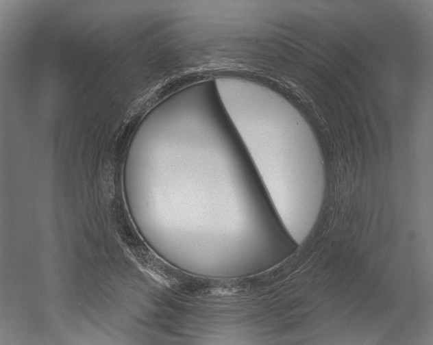 X0000052540496200507010822