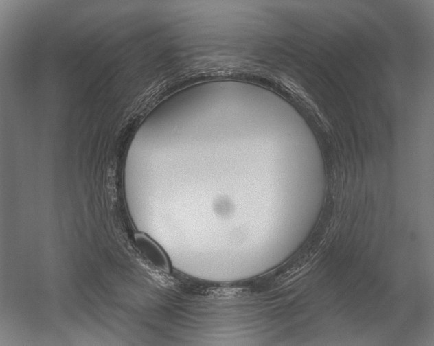 X0000052540497200507010822