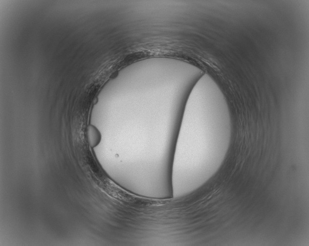 X0000052540499200507010822