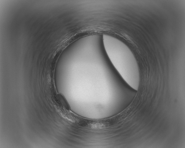 X0000052540500200507010822