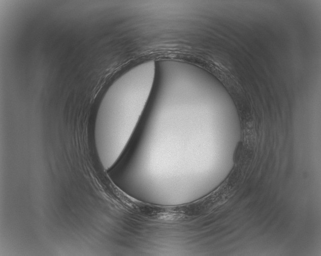 X0000052540504200507010822