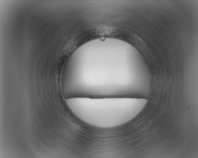 X0000052540510200507010822