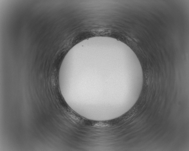 X0000052540515200507010822