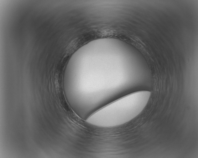 X0000052540516200507010822