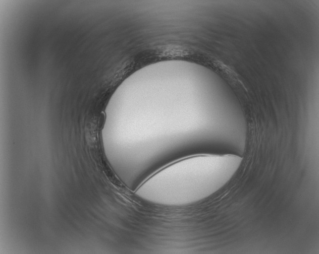 X0000052540517200507010822
