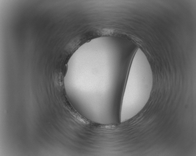 X0000052540525200507010822
