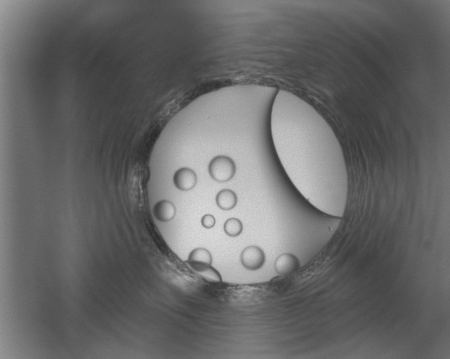 X0000052540527200507010822