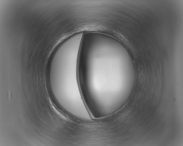 X0000052540530200507010821