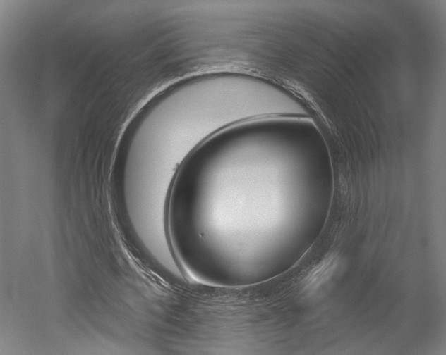 X0000052540532200507010821