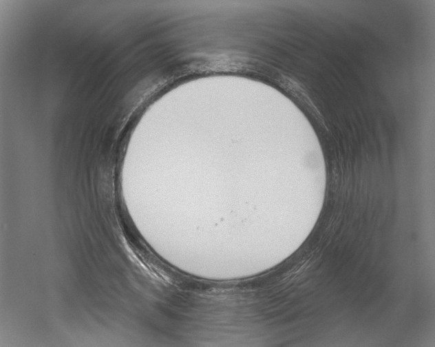 X0000052540534200507010821