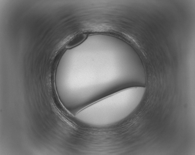 X0000052540535200507010821