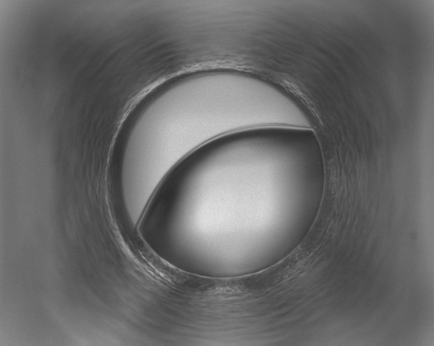 X0000052540536200507010821