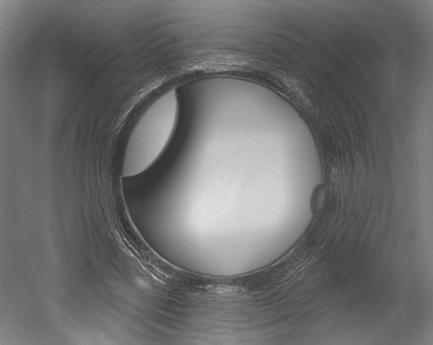 X0000052540539200507010821