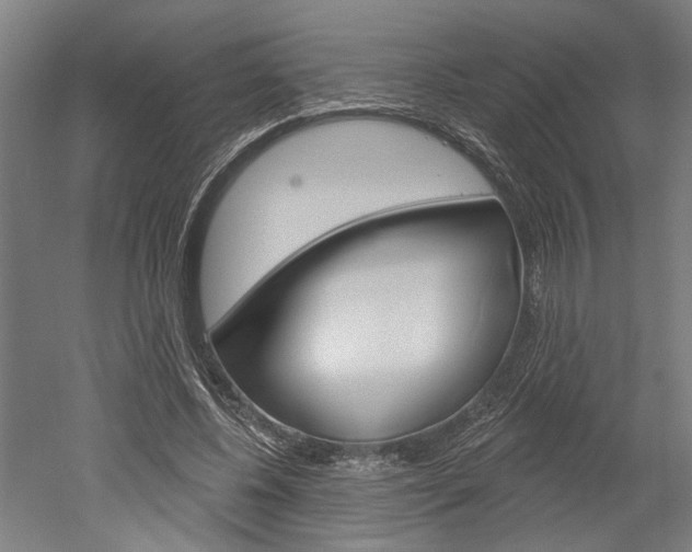 X0000052540540200507010821