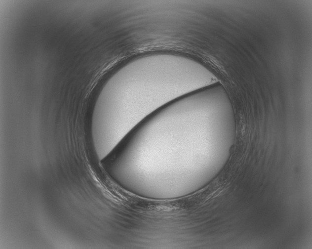 X0000052540542200507010821