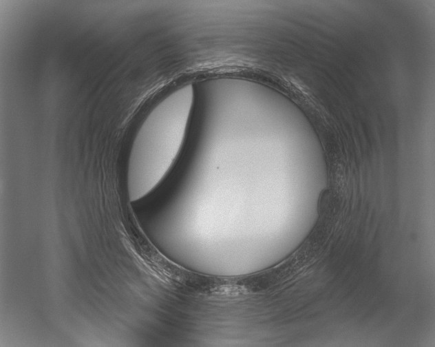 X0000052540543200507010821