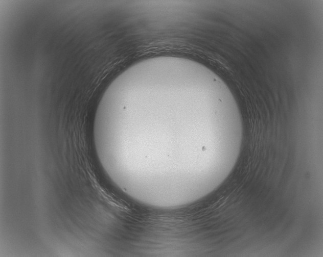 X0000052540546200507010821