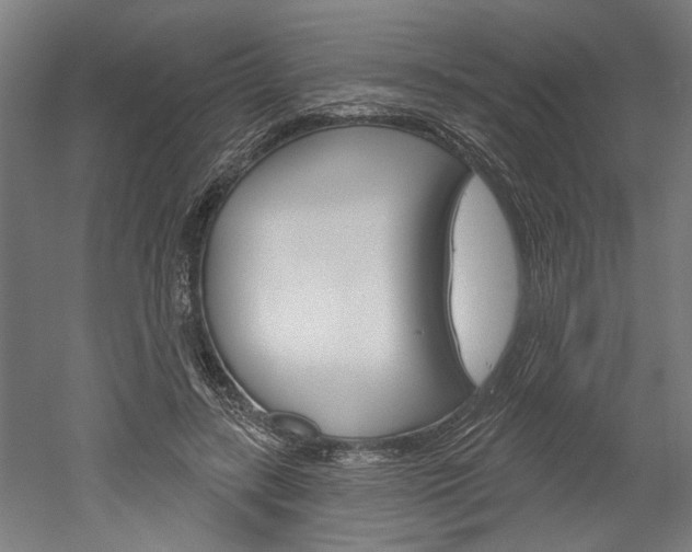 X0000052540547200507010821