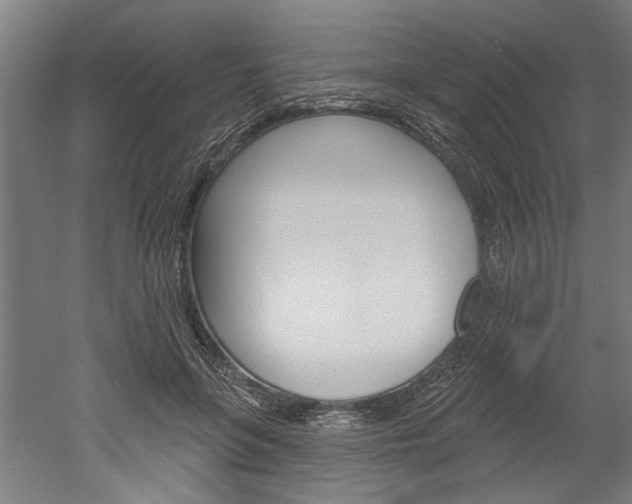 X0000052540551200507010822