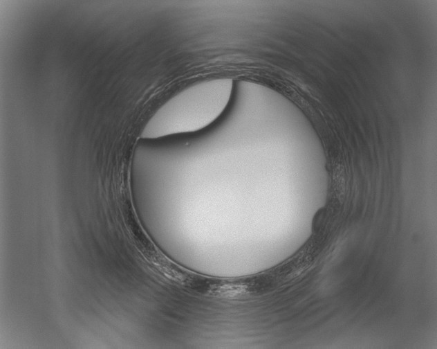 X0000052540554200507010822