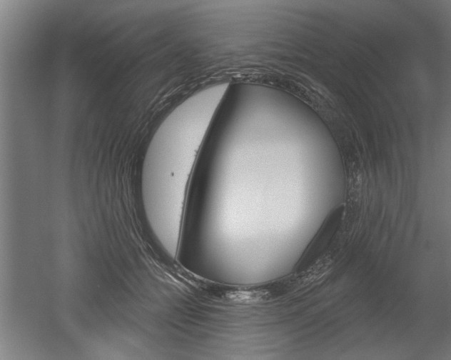 X0000052540558200507010822
