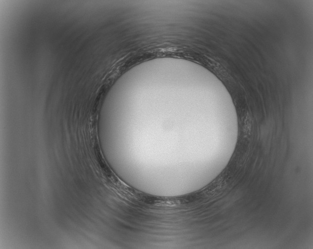 X0000052540559200507010822