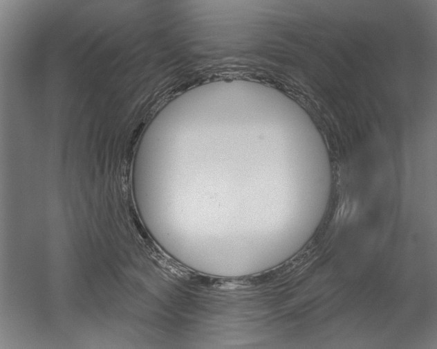 X0000052540561200507010822