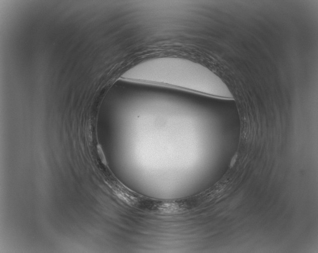 X0000052540562200507010822