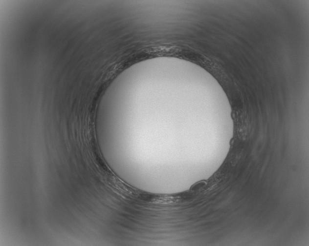 X0000052540563200507010822