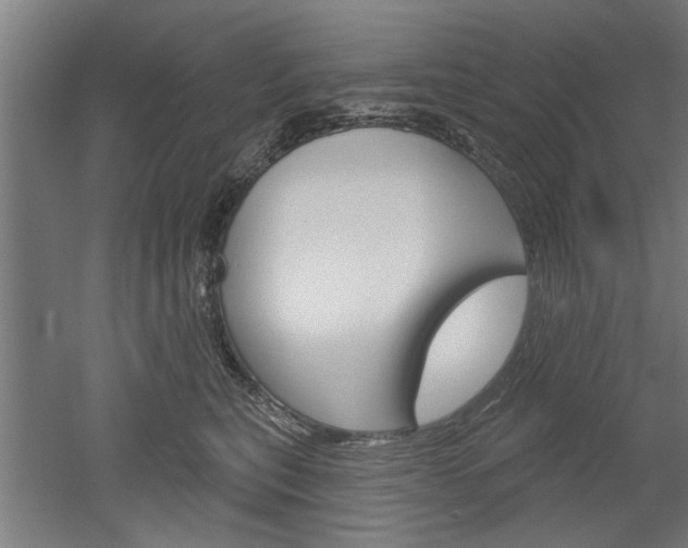 X0000052540567200507010822
