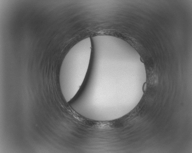 X0000052540569200507010822