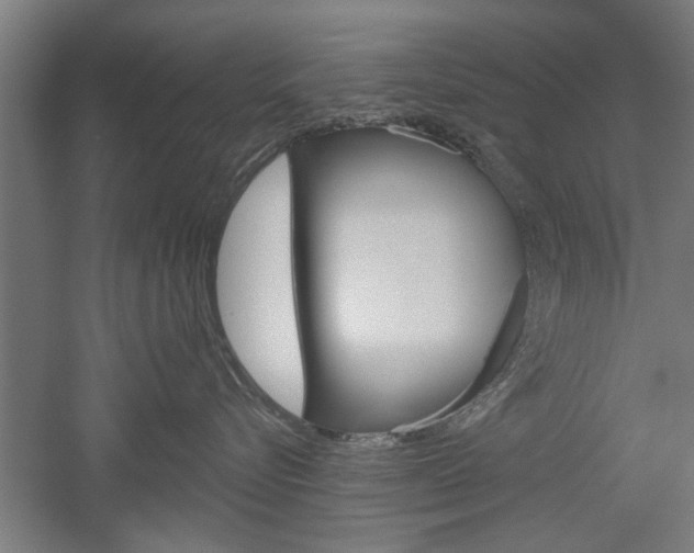 X0000052540576200507010822