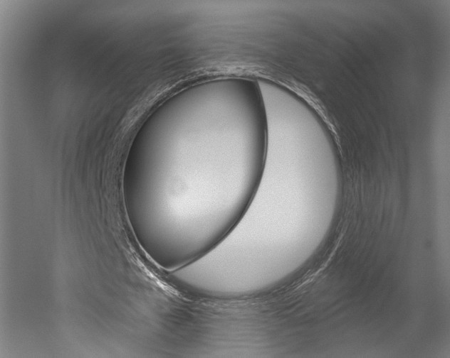 X0000052540577200507010821