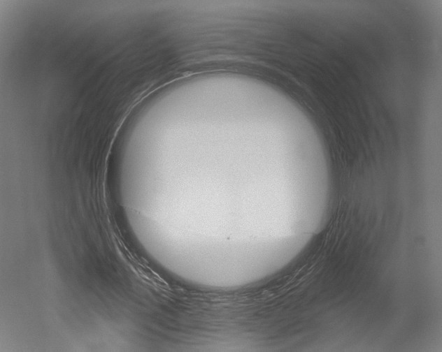 X0000052540579200507010821