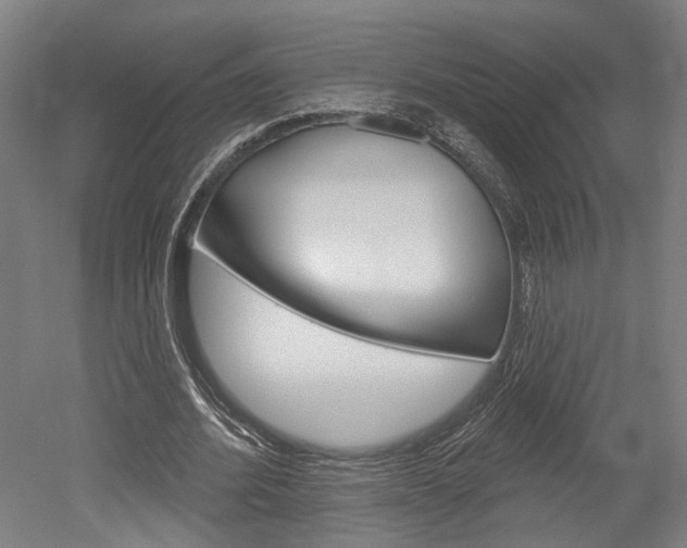 X0000052540580200507010821