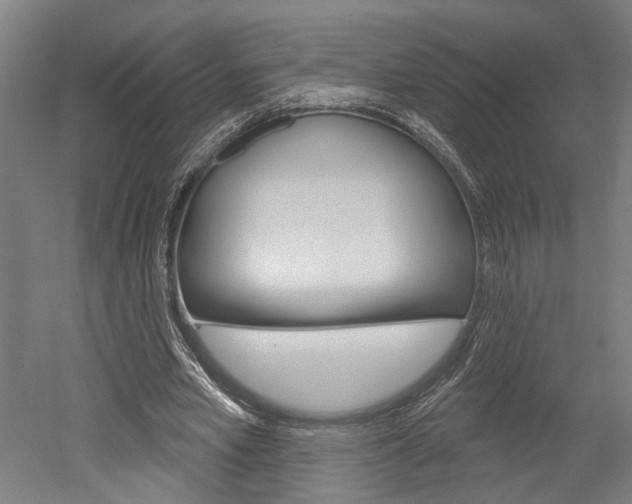 X0000052540581200507010821