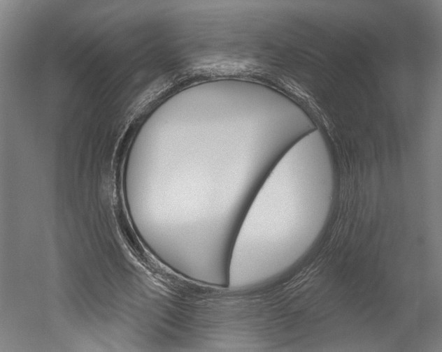 X0000052540582200507010821